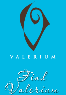Valerium Hair Salon Portland OR Oregon